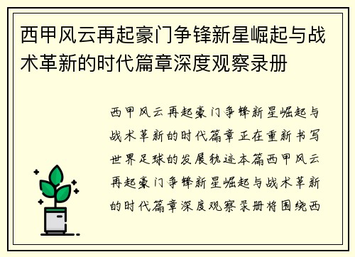 西甲风云再起豪门争锋新星崛起与战术革新的时代篇章深度观察录册